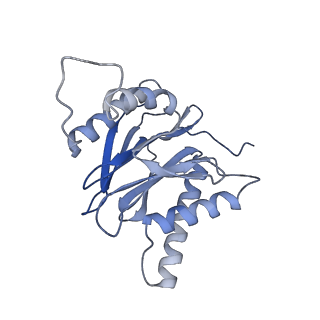 10586_6tu3_a_v1-0
Rat 20S proteasome