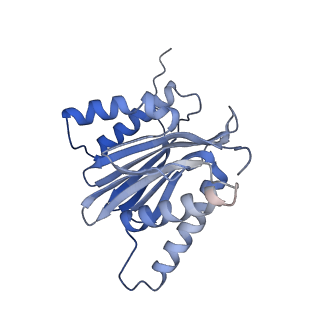 10586_6tu3_b_v1-0
Rat 20S proteasome