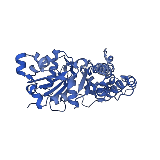 10587_6tu4_B_v1-1
Structure of Plasmodium Actin1 filament