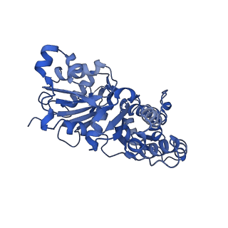 10587_6tu4_D_v1-1
Structure of Plasmodium Actin1 filament