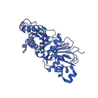 10587_6tu4_F_v1-1
Structure of Plasmodium Actin1 filament