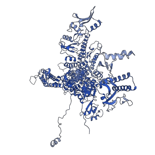 10595_6tut_A_v1-2
Cryo-EM structure of the RNA Polymerase III-Maf1 complex