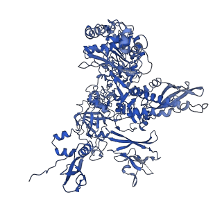 10595_6tut_B_v1-2
Cryo-EM structure of the RNA Polymerase III-Maf1 complex