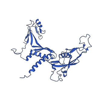 10595_6tut_C_v1-2
Cryo-EM structure of the RNA Polymerase III-Maf1 complex