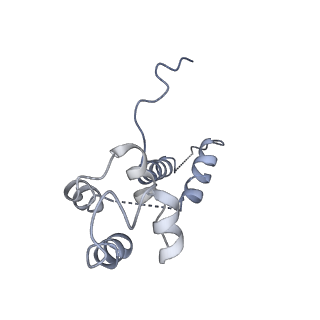 10595_6tut_D_v1-2
Cryo-EM structure of the RNA Polymerase III-Maf1 complex