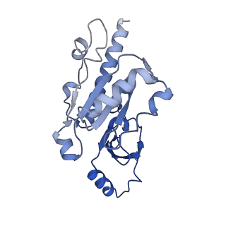 10595_6tut_E_v1-2
Cryo-EM structure of the RNA Polymerase III-Maf1 complex