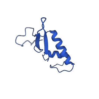 10595_6tut_F_v1-2
Cryo-EM structure of the RNA Polymerase III-Maf1 complex