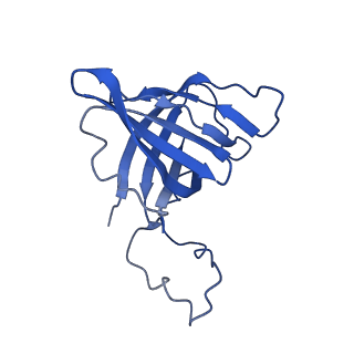 10595_6tut_H_v1-2
Cryo-EM structure of the RNA Polymerase III-Maf1 complex