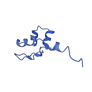 10595_6tut_J_v1-2
Cryo-EM structure of the RNA Polymerase III-Maf1 complex