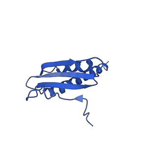 10595_6tut_K_v1-2
Cryo-EM structure of the RNA Polymerase III-Maf1 complex
