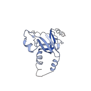 10595_6tut_M_v1-2
Cryo-EM structure of the RNA Polymerase III-Maf1 complex