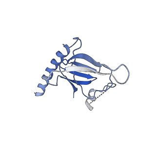 10595_6tut_N_v1-2
Cryo-EM structure of the RNA Polymerase III-Maf1 complex