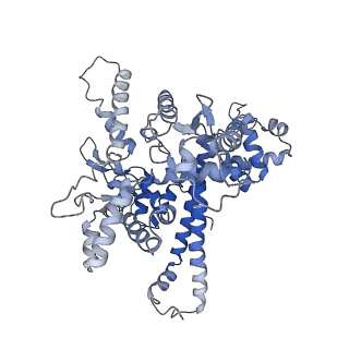 10595_6tut_O_v1-2
Cryo-EM structure of the RNA Polymerase III-Maf1 complex