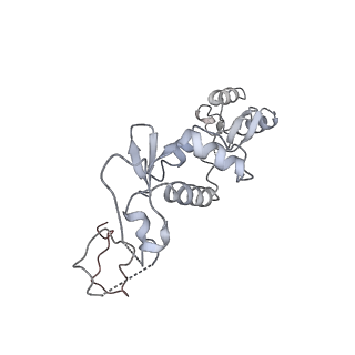 10595_6tut_P_v1-2
Cryo-EM structure of the RNA Polymerase III-Maf1 complex