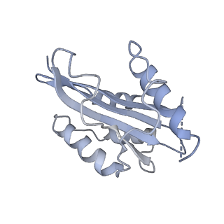 10595_6tut_R_v1-2
Cryo-EM structure of the RNA Polymerase III-Maf1 complex
