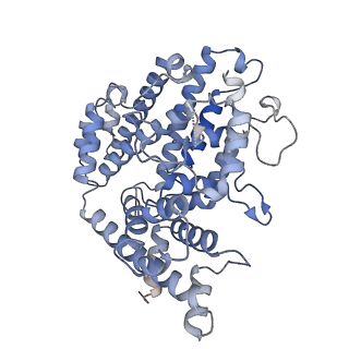 26127_7tu6_A_v1-2
Structure of the L. blandensis dGTPase bound to dATP