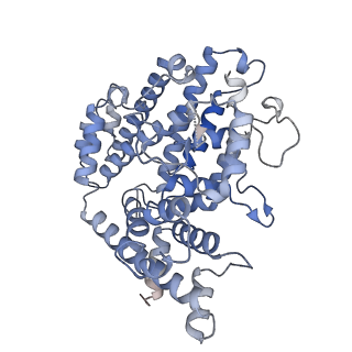 26127_7tu6_A_v1-3
Structure of the L. blandensis dGTPase bound to dATP