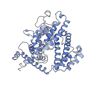 26127_7tu6_B_v1-2
Structure of the L. blandensis dGTPase bound to dATP