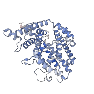 26127_7tu6_C_v1-3
Structure of the L. blandensis dGTPase bound to dATP