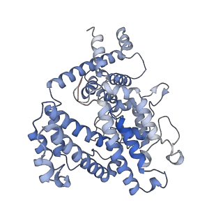 26127_7tu6_D_v1-3
Structure of the L. blandensis dGTPase bound to dATP