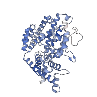 26128_7tu7_A_v1-2
Structure of the L. blandensis dGTPase H125A mutant bound to dGTP