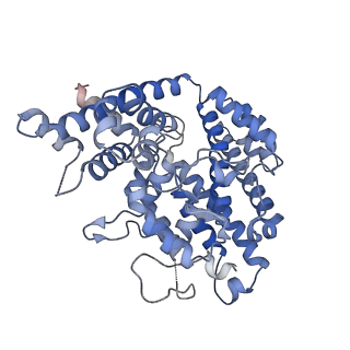 26128_7tu7_C_v1-3
Structure of the L. blandensis dGTPase H125A mutant bound to dGTP