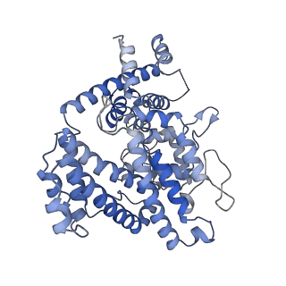 26128_7tu7_D_v1-3
Structure of the L. blandensis dGTPase H125A mutant bound to dGTP