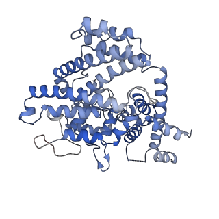 26128_7tu7_F_v1-3
Structure of the L. blandensis dGTPase H125A mutant bound to dGTP