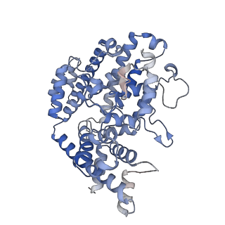 26129_7tu8_A_v1-3
Structure of the L. blandensis dGTPase H125A mutant bound to dGTP and dATP