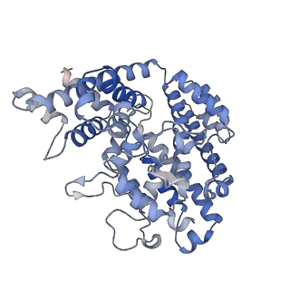 26129_7tu8_C_v1-3
Structure of the L. blandensis dGTPase H125A mutant bound to dGTP and dATP