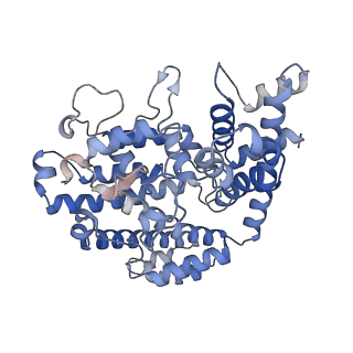 26129_7tu8_E_v1-2
Structure of the L. blandensis dGTPase H125A mutant bound to dGTP and dATP