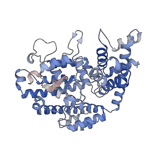 26129_7tu8_E_v1-3
Structure of the L. blandensis dGTPase H125A mutant bound to dGTP and dATP