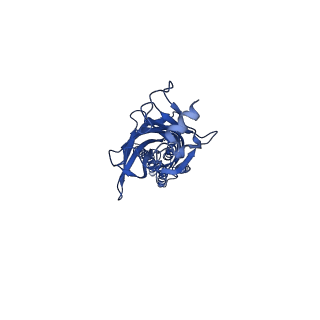 26130_7tu9_C_v1-0
Alpha1/BetaB Heteromeric Glycine Receptor in Strychnine-Bound State