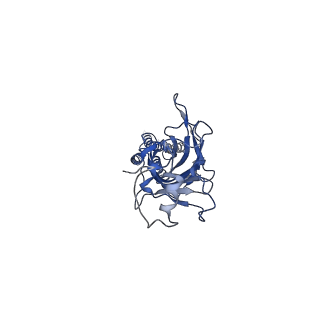 26130_7tu9_E_v1-0
Alpha1/BetaB Heteromeric Glycine Receptor in Strychnine-Bound State