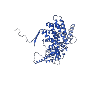 26131_7tub_D_v1-0
The beta-tubulin folding intermediate IV