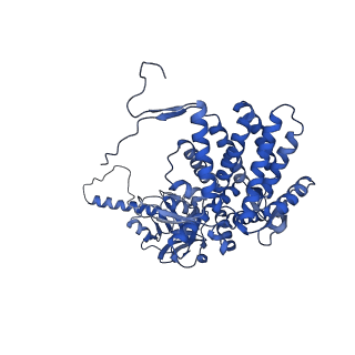 26131_7tub_E_v1-0
The beta-tubulin folding intermediate IV