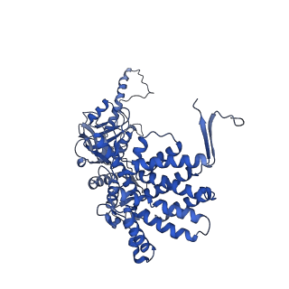 26131_7tub_G_v1-0
The beta-tubulin folding intermediate IV