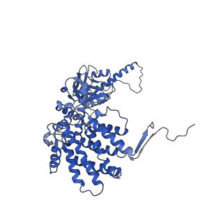26131_7tub_H_v1-0
The beta-tubulin folding intermediate IV