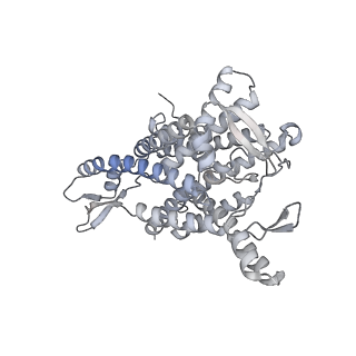 26133_7tut_1_v1-2
Structure of the rabbit 80S ribosome stalled on a 4-TMD Rhodopsin intermediate in complex with the multipass translocon