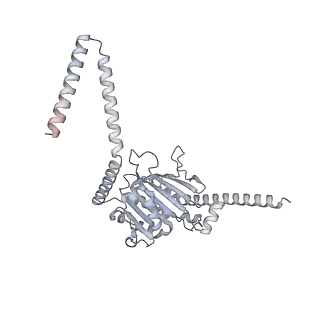 26133_7tut_4_v1-2
Structure of the rabbit 80S ribosome stalled on a 4-TMD Rhodopsin intermediate in complex with the multipass translocon