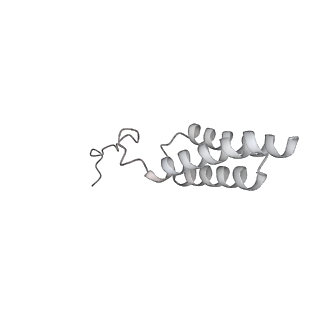 26133_7tut_5_v1-2
Structure of the rabbit 80S ribosome stalled on a 4-TMD Rhodopsin intermediate in complex with the multipass translocon