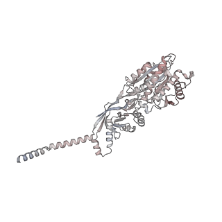 26133_7tut_7_v1-2
Structure of the rabbit 80S ribosome stalled on a 4-TMD Rhodopsin intermediate in complex with the multipass translocon