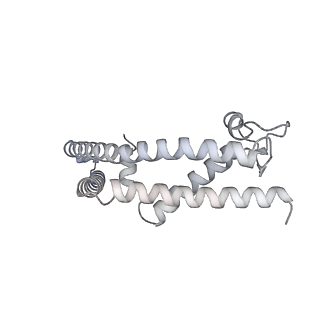 26133_7tut_8_v1-2
Structure of the rabbit 80S ribosome stalled on a 4-TMD Rhodopsin intermediate in complex with the multipass translocon