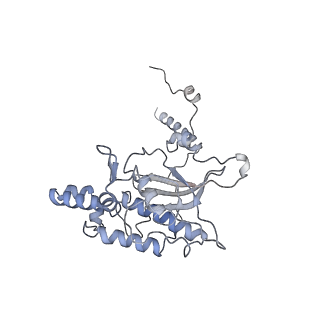 26133_7tut_D_v1-2
Structure of the rabbit 80S ribosome stalled on a 4-TMD Rhodopsin intermediate in complex with the multipass translocon