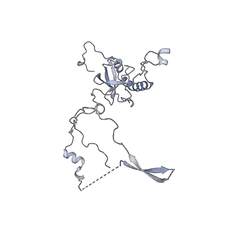 26133_7tut_E_v1-2
Structure of the rabbit 80S ribosome stalled on a 4-TMD Rhodopsin intermediate in complex with the multipass translocon