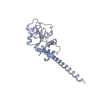 26133_7tut_F_v1-2
Structure of the rabbit 80S ribosome stalled on a 4-TMD Rhodopsin intermediate in complex with the multipass translocon