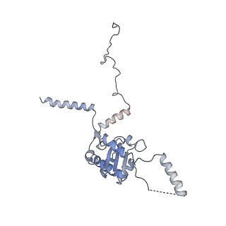26133_7tut_G_v1-2
Structure of the rabbit 80S ribosome stalled on a 4-TMD Rhodopsin intermediate in complex with the multipass translocon
