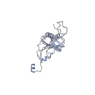 26133_7tut_I_v1-2
Structure of the rabbit 80S ribosome stalled on a 4-TMD Rhodopsin intermediate in complex with the multipass translocon