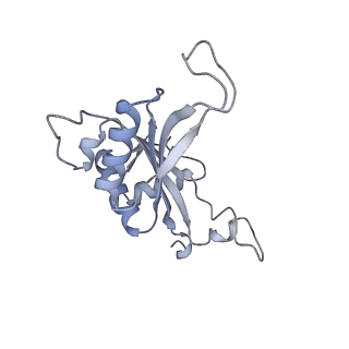 26133_7tut_J_v1-2
Structure of the rabbit 80S ribosome stalled on a 4-TMD Rhodopsin intermediate in complex with the multipass translocon