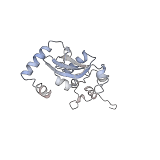 26133_7tut_N_v1-2
Structure of the rabbit 80S ribosome stalled on a 4-TMD Rhodopsin intermediate in complex with the multipass translocon